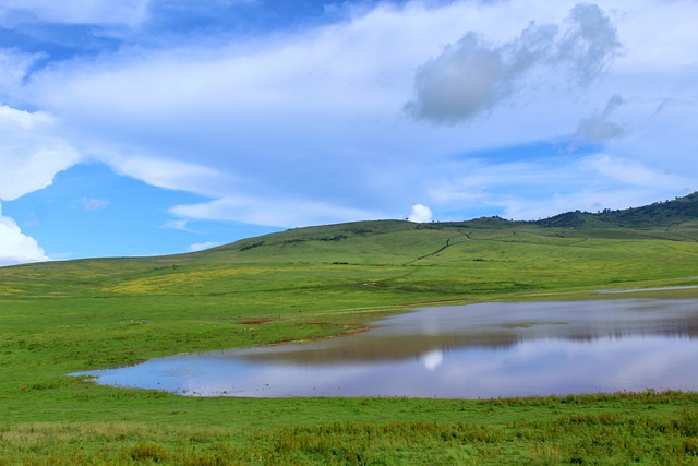 ngorongoro-My trip adventure