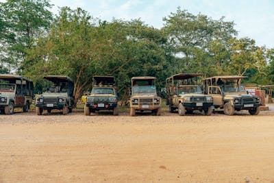 safari vehicles