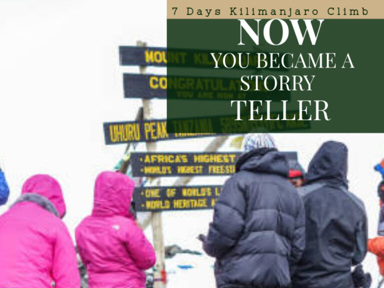 storry teller